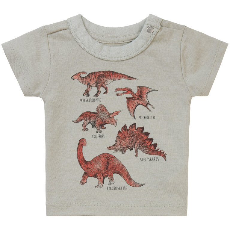 T-shirt Momence (willow grey)