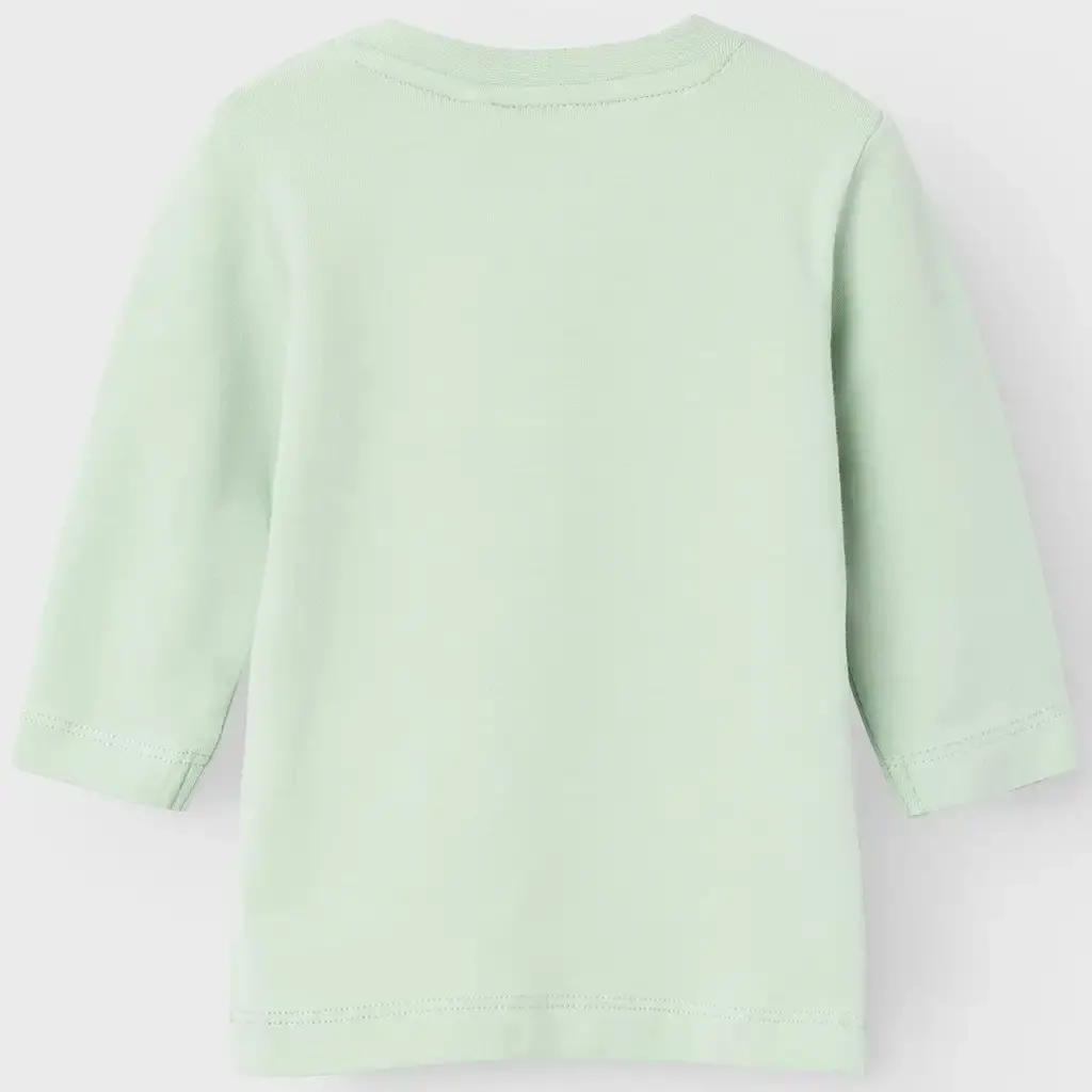 Longsleeve Dassel (silt green)