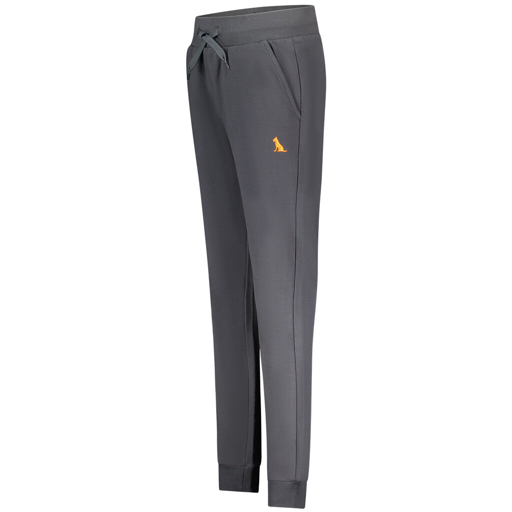 Joggingbroek Boaz (grey)