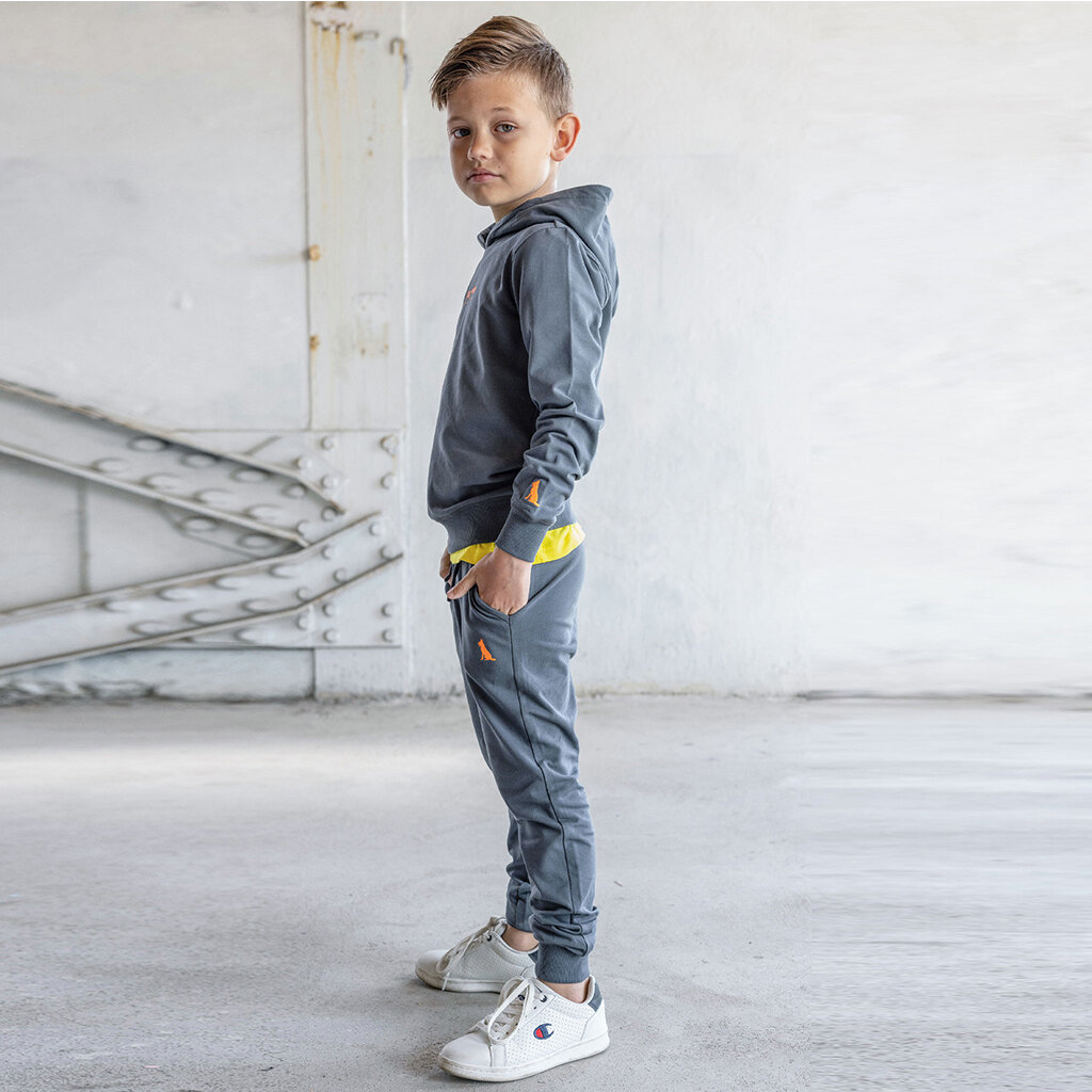 Joggingbroek Boaz (grey)