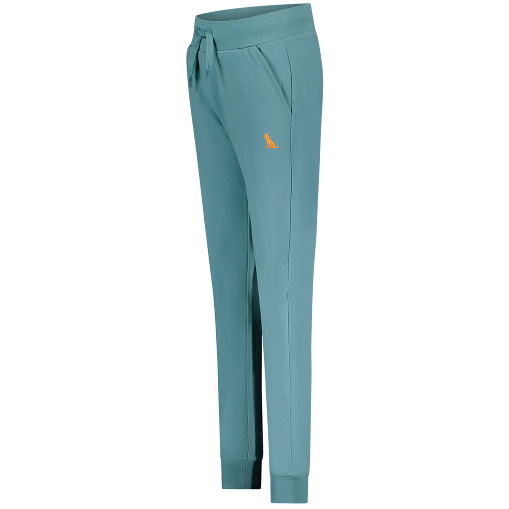 Joggingbroek Boaz (aqua)