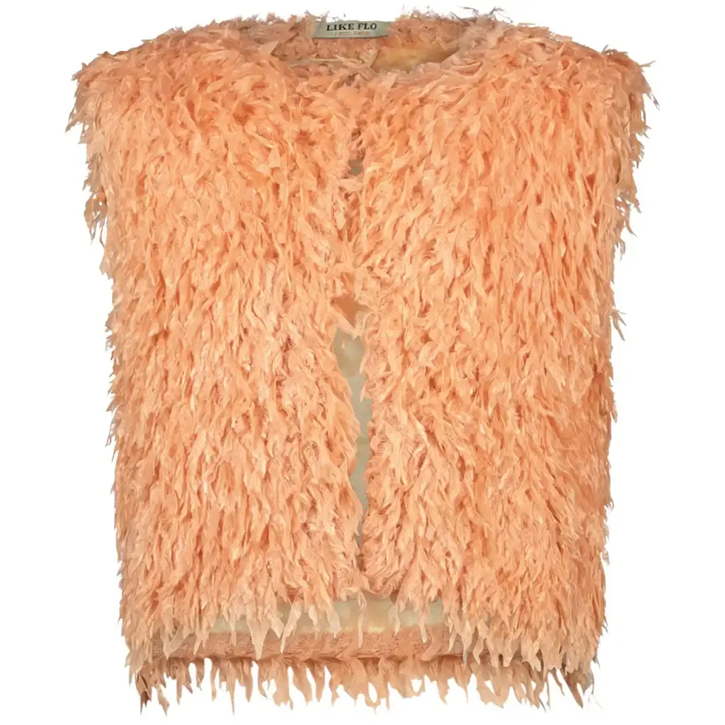Gilet (brique)