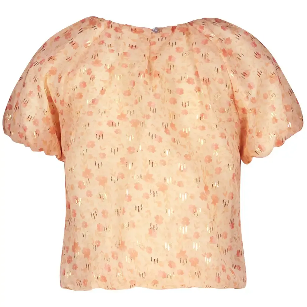 Top chiffon (flower)