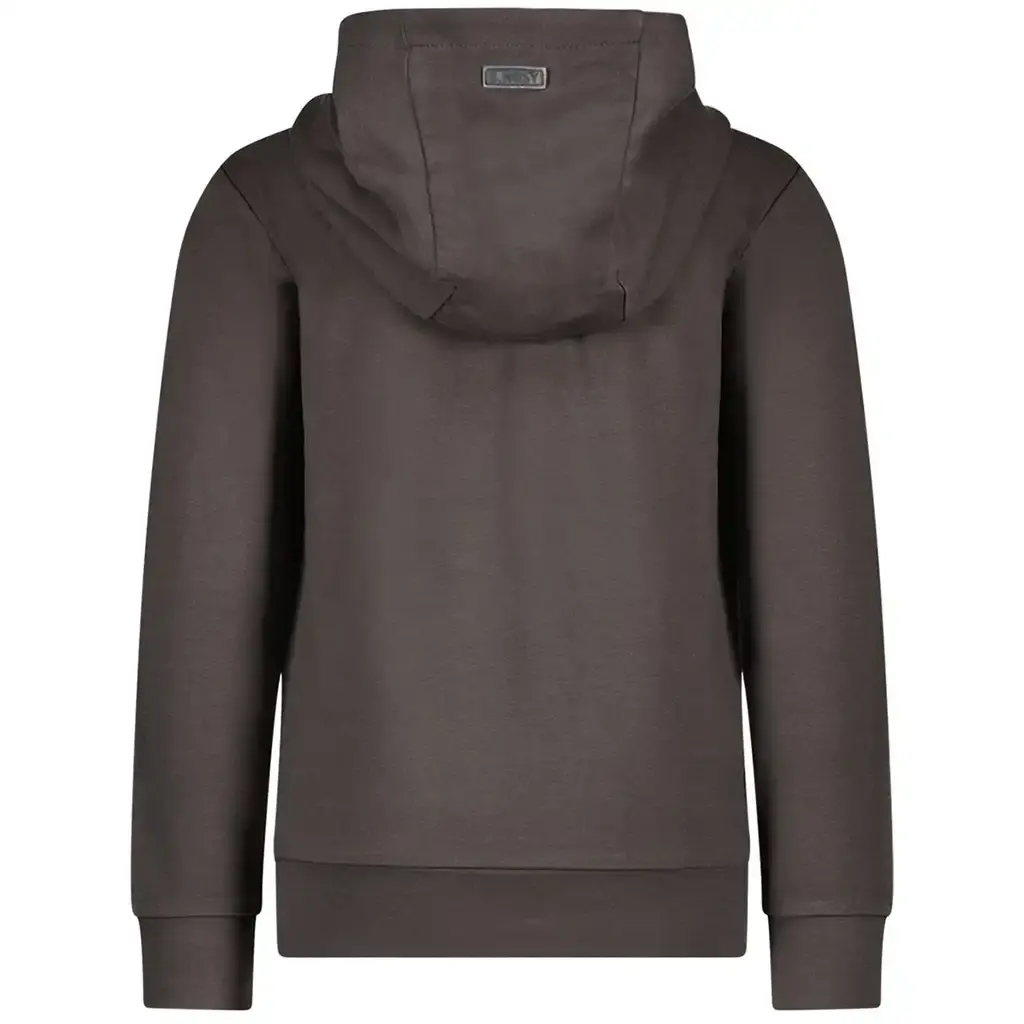 Trui hoodie Raf (anthracite)