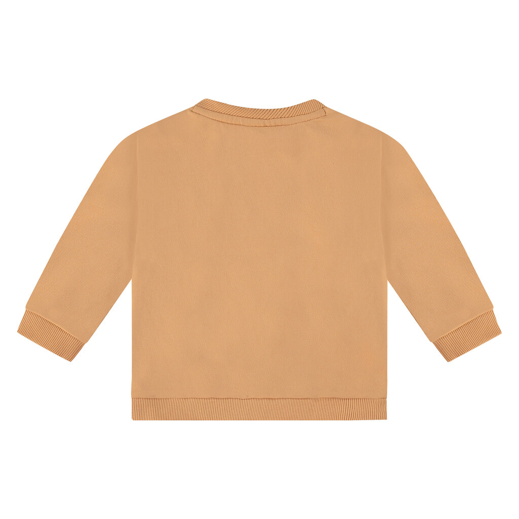 Truitje (orange)