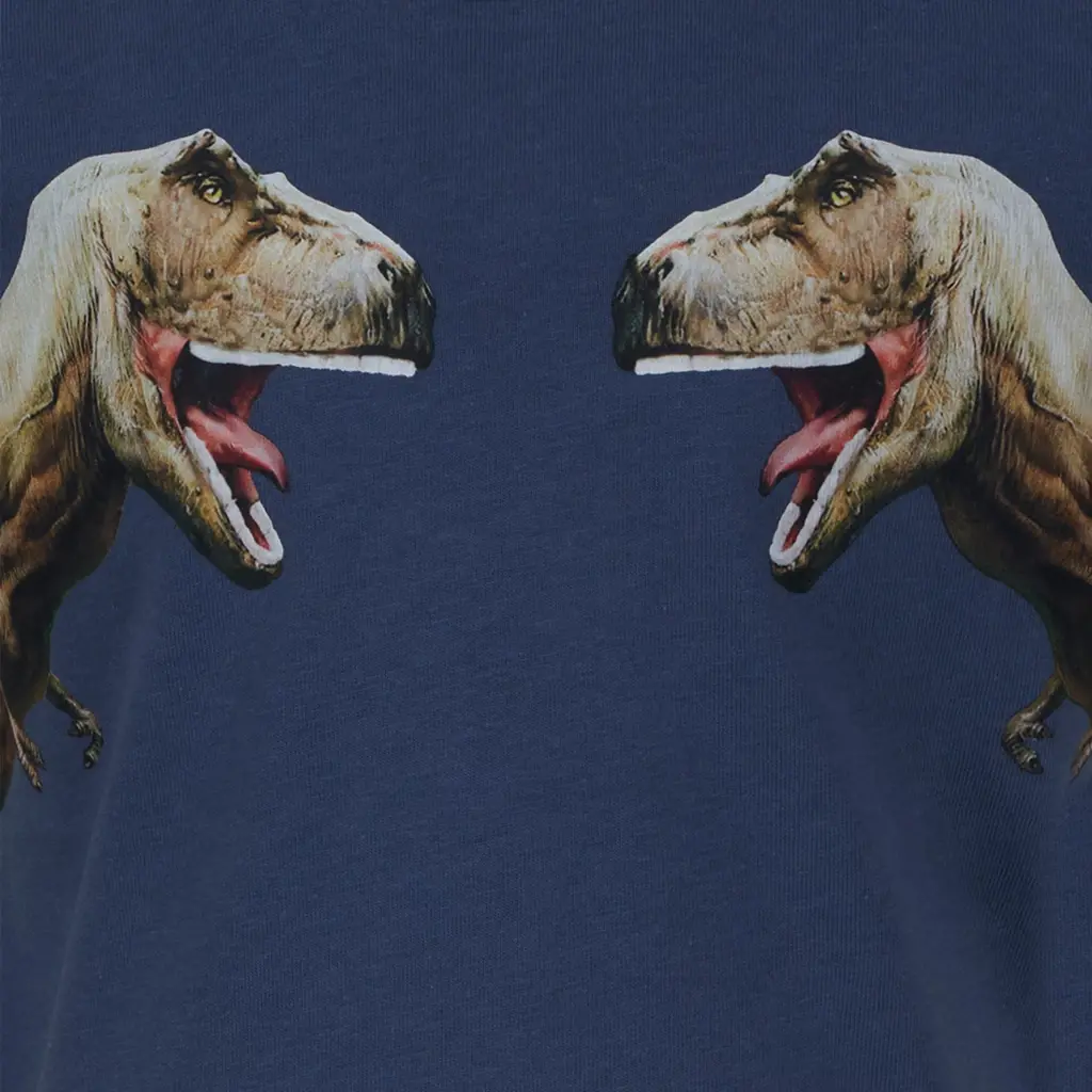 T-shirt Albert (blue grey)