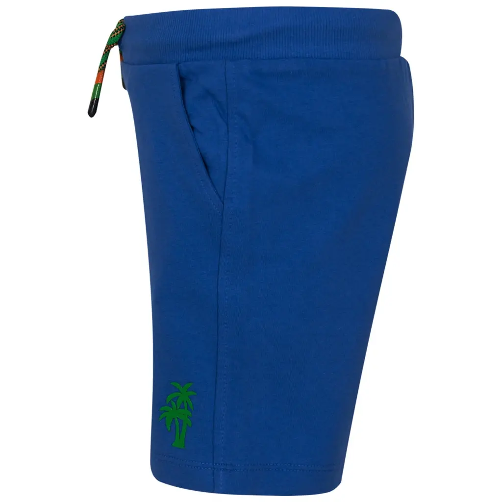 Korte broek Van (blue)
