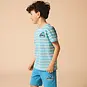 Name It T-shirt Dalovan (swedish blue)