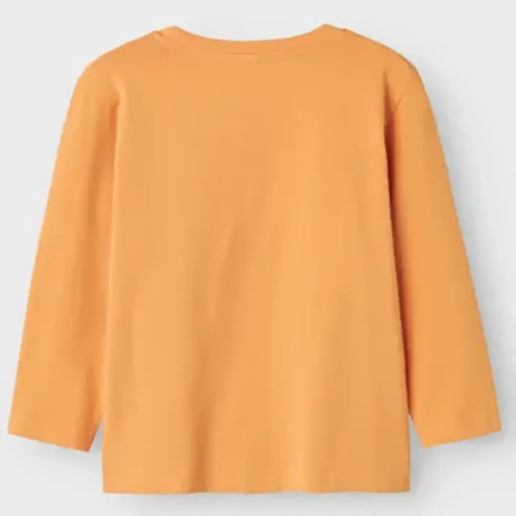 Longsleeve Thorhim (gold earth)