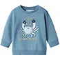 Name It Truitje sweat Folin (spring lake)