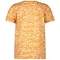 B.Nosy T-shirt Timmy (writing ao)