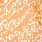 B.Nosy T-shirt Timmy (writing ao)