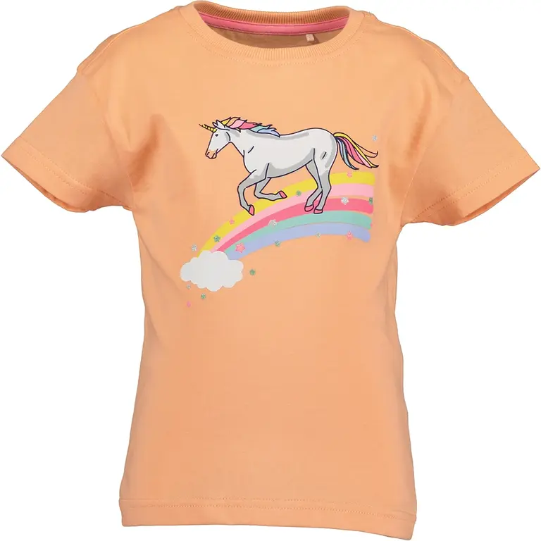 T-shirt (melone)