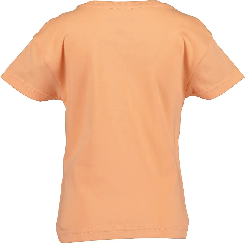 T-shirt (melone)