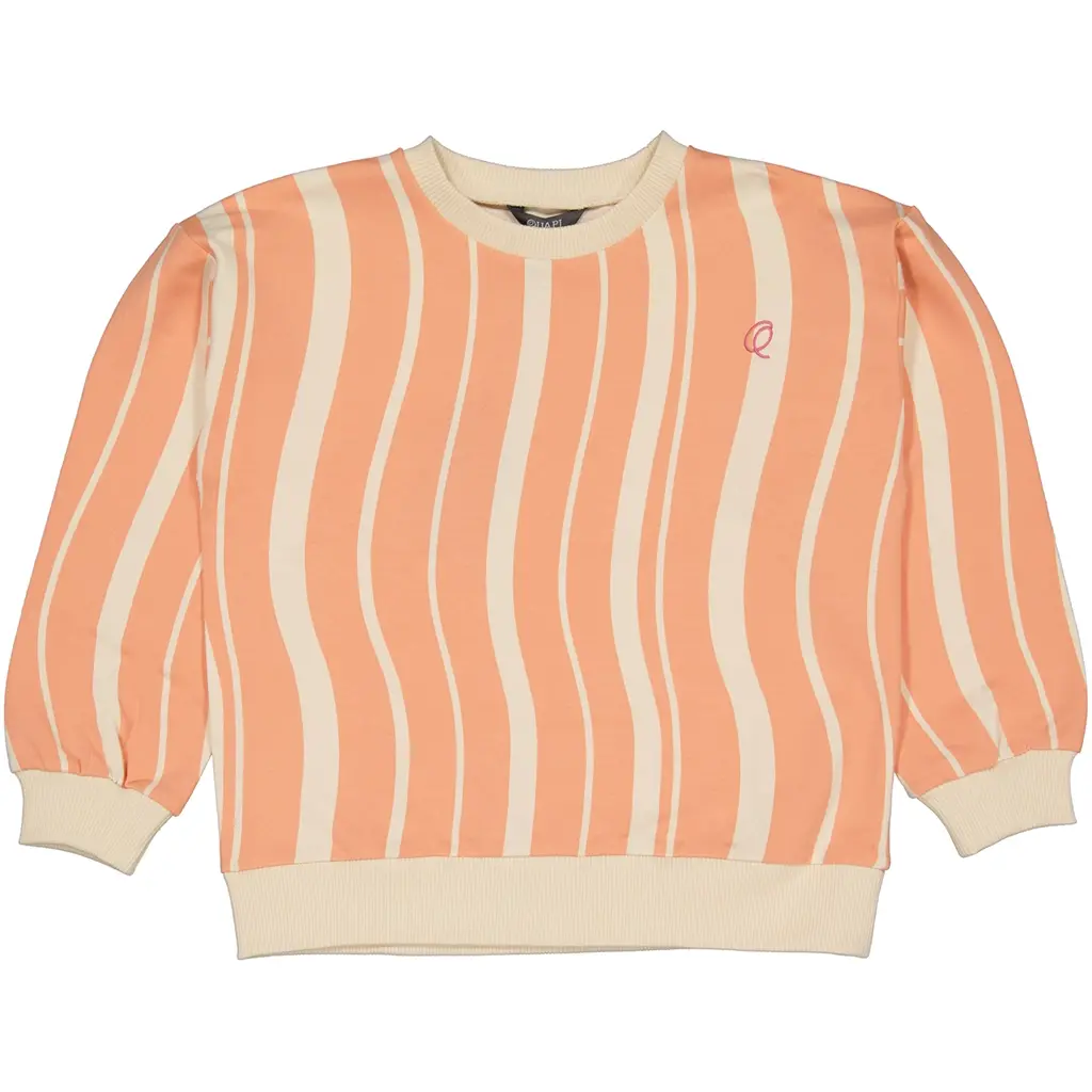 Trui sweat Fabrice (orange graphic)
