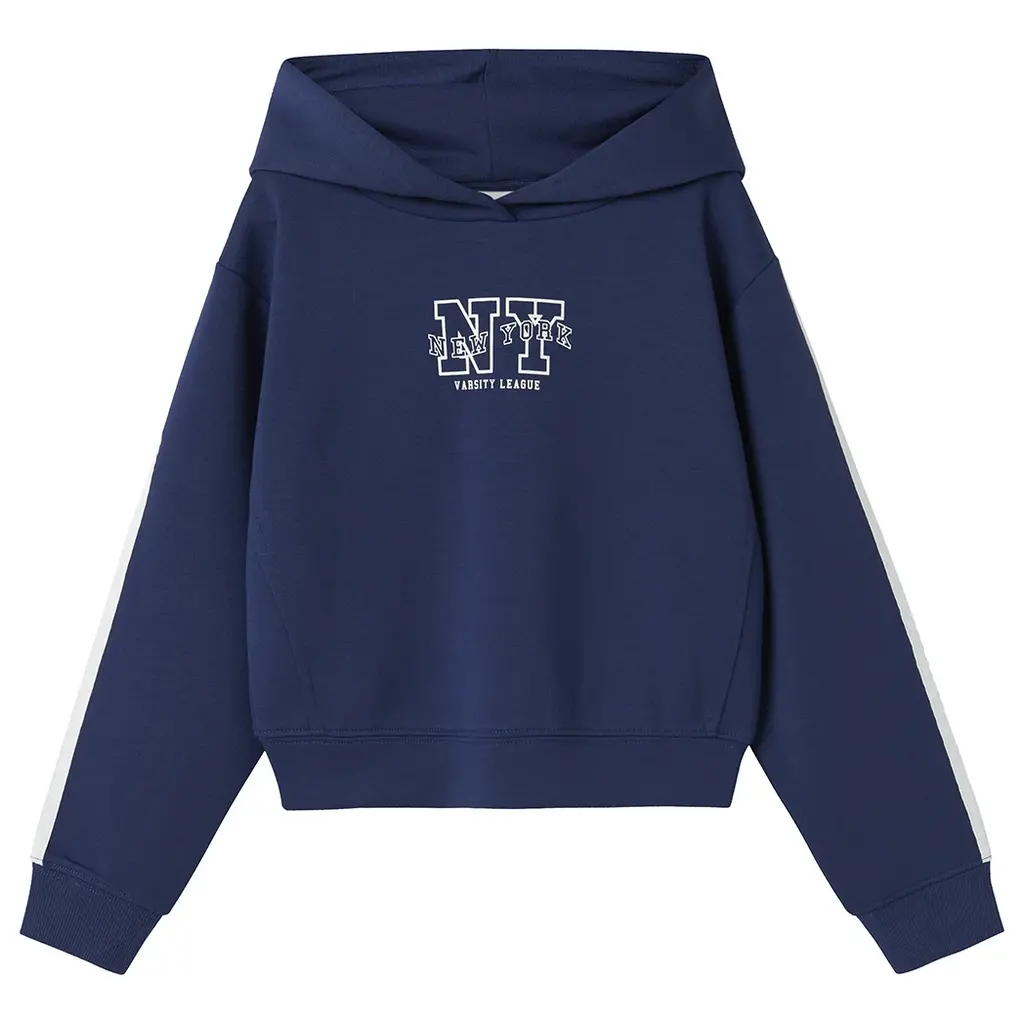 Trui sweat hoodie Napes (blueprint)
