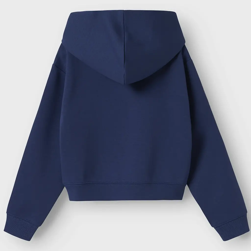 Trui sweat hoodie Napes (blueprint)
