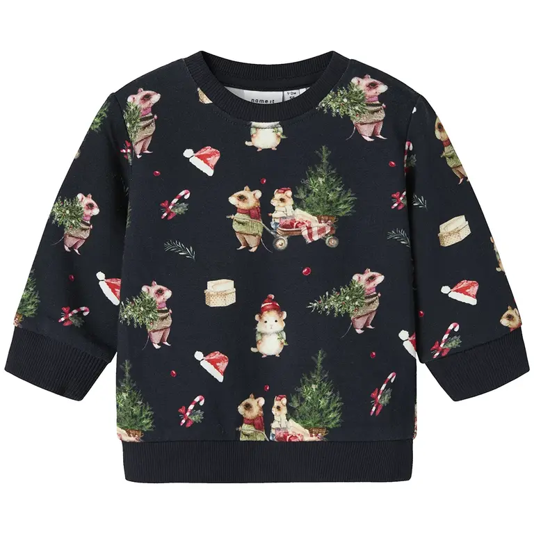 KERST truitje sweat Renu (navy blazer)
