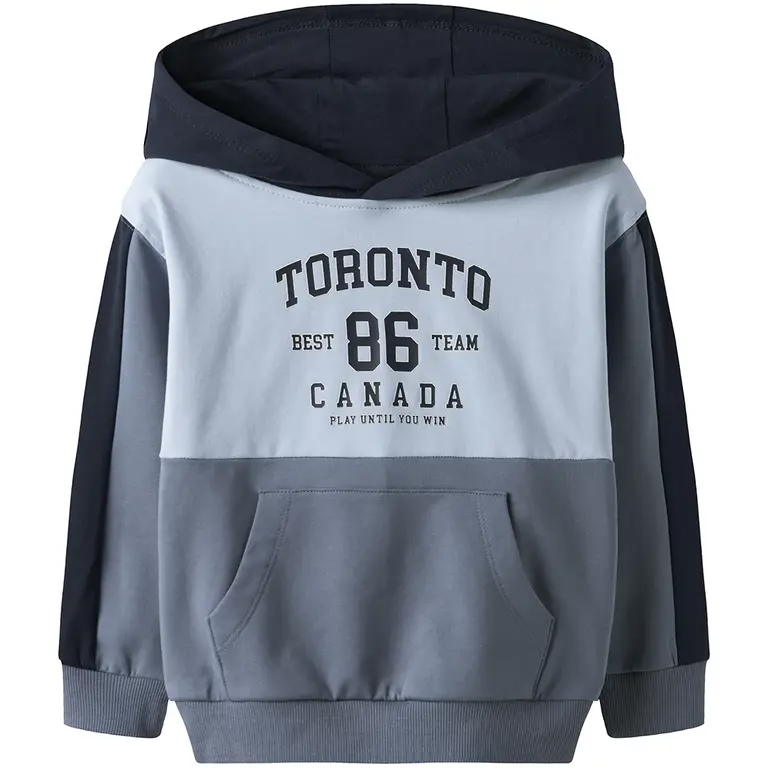 Trui sweat hoodie Sejr (flint stone)