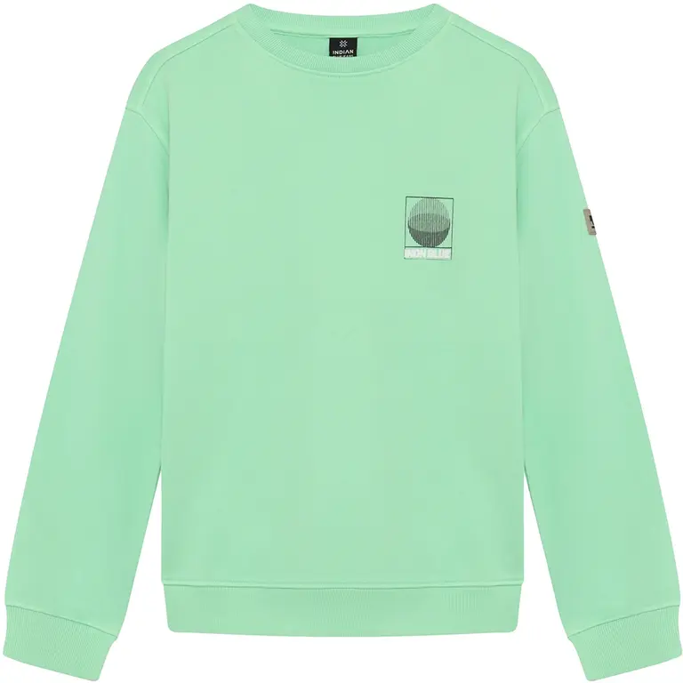 Trui backprint washed (fresh green)