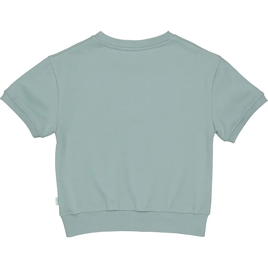 Trui Dave (dark mint)