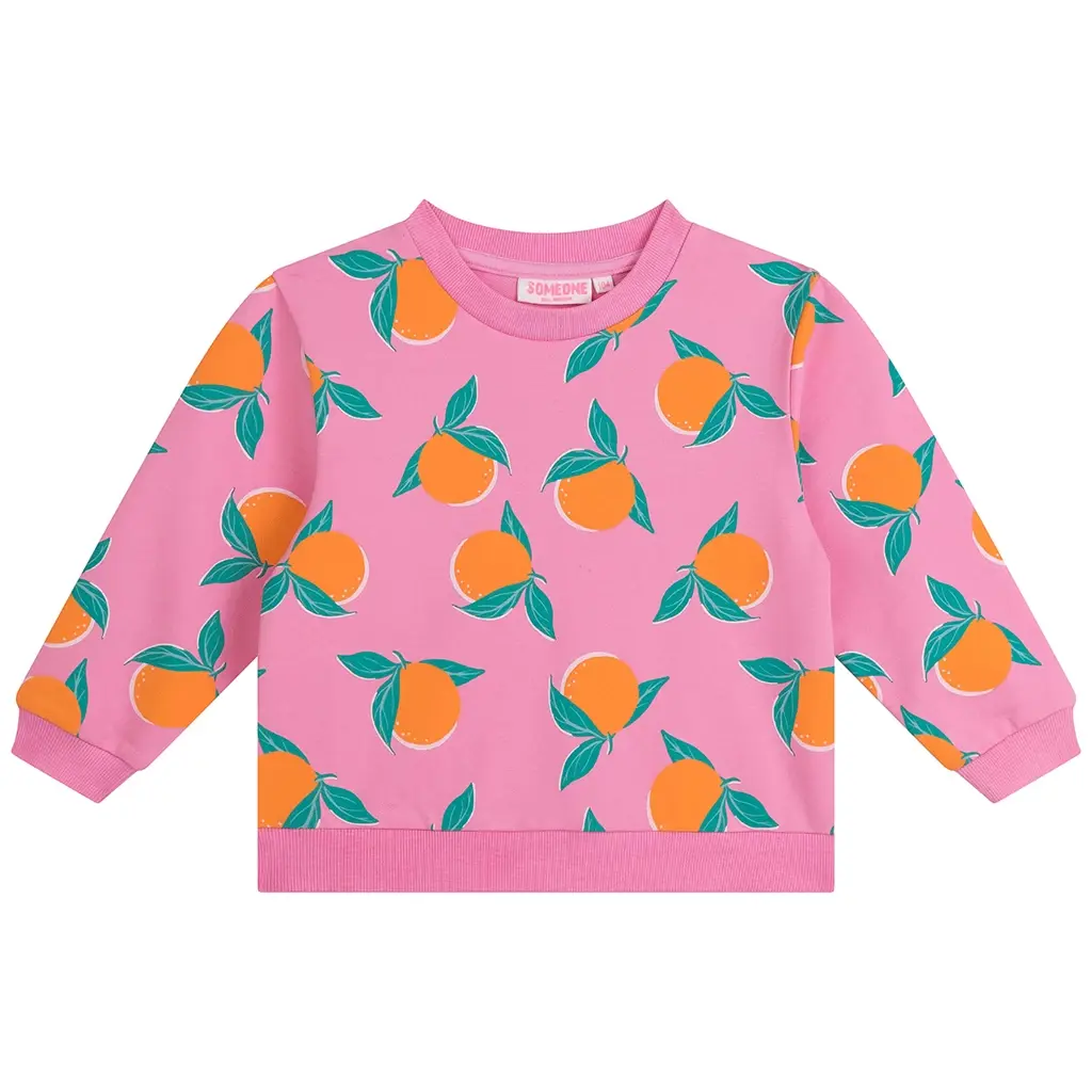 Trui Oona (pink)