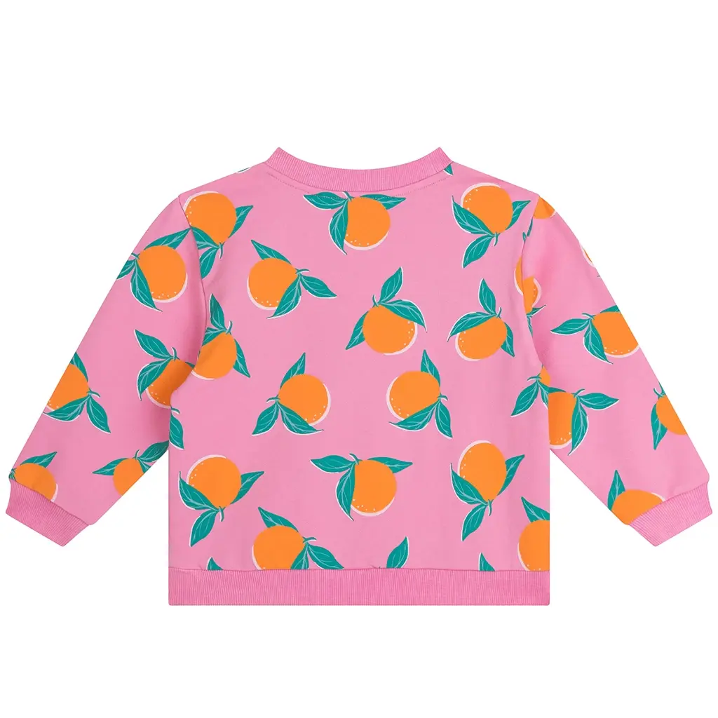 Trui Oona (pink)