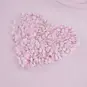 Someone T-shirt Aisha (soft pink)
