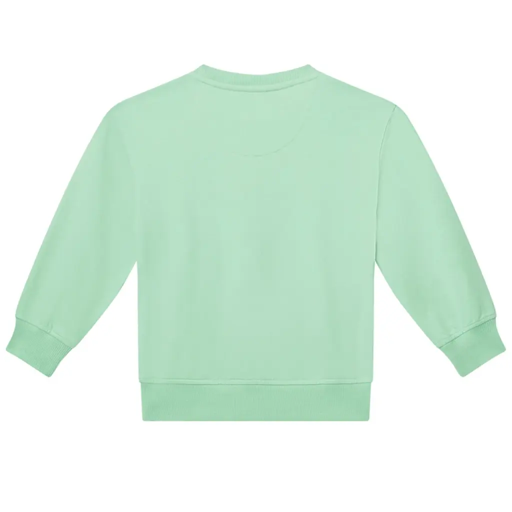 Trui Ander (mint)