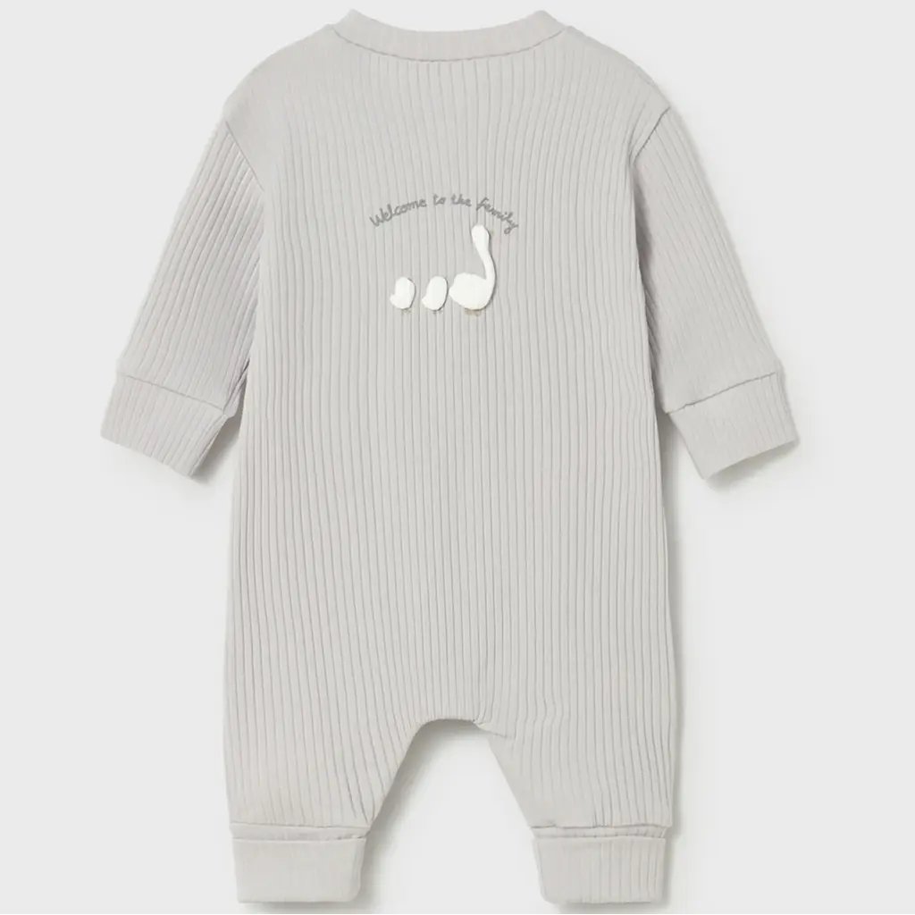 Boxpakje (silver)