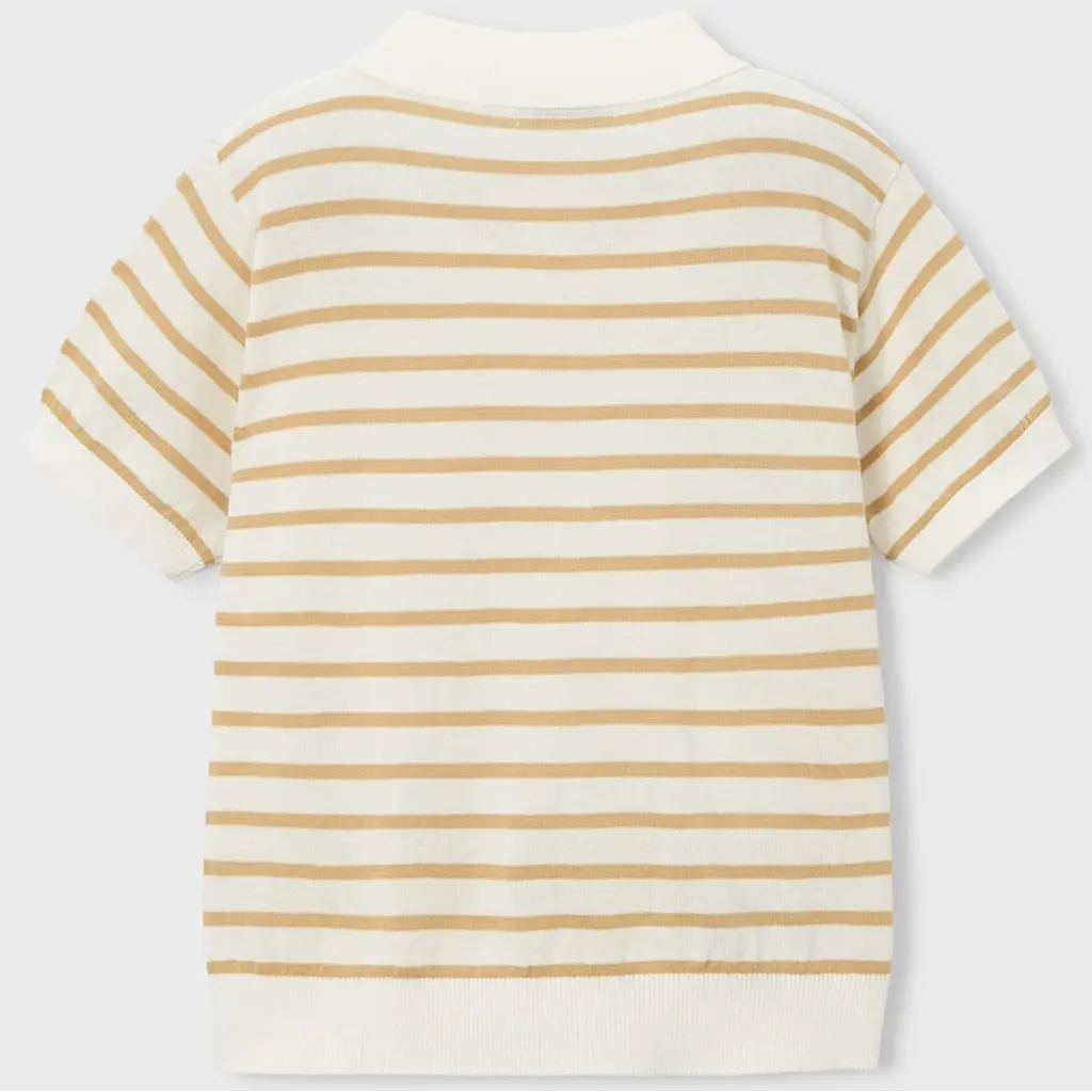 Polo (cream brow)