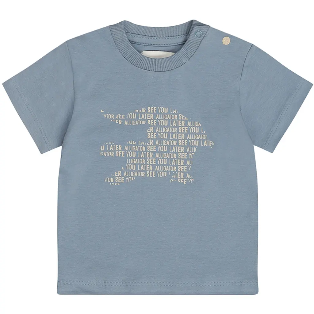 T-shirt (blue)