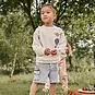 Daily7 Korte spijkerbroek cargo (grey denim)