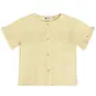Daily7 T-shirt (reed yellow)