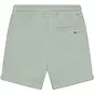 Daily7 Korte broek (green milieu)