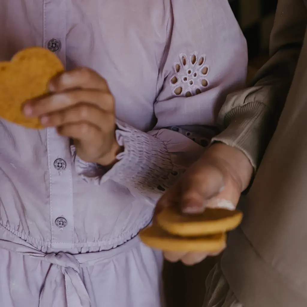 Jurk Baukje (lilac)