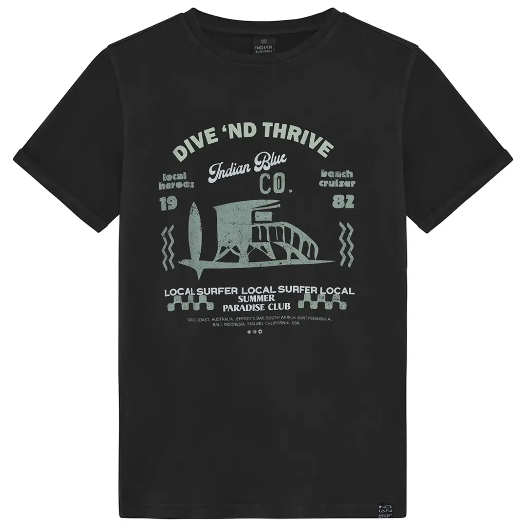 T-shirt washed (washed grey)