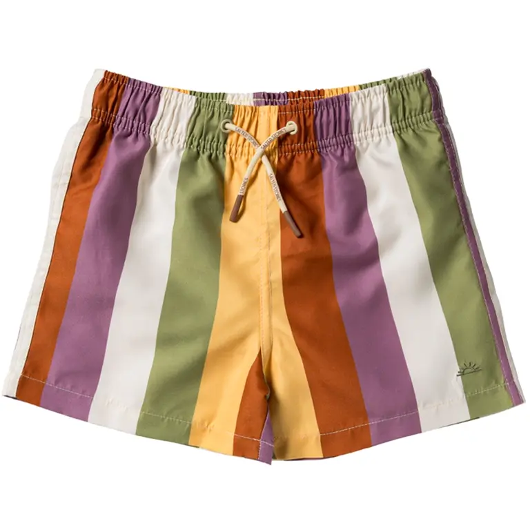 Zwembroek Multi Stripe (multicolor)