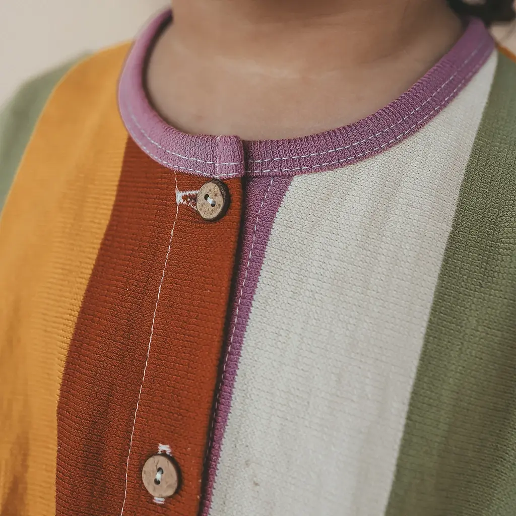 Jumpsuit Multi Stripe (multicolor)