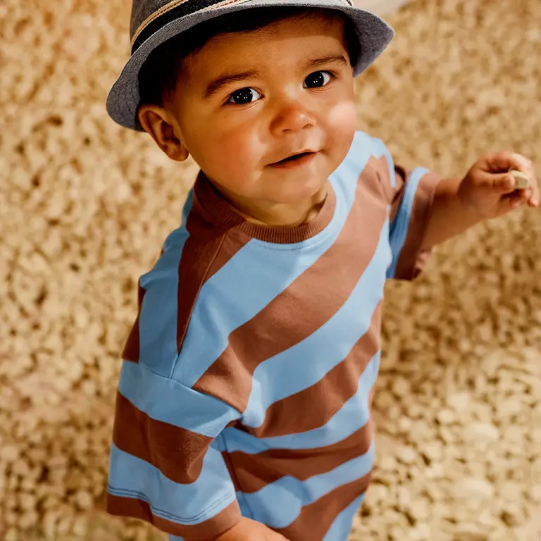 T-shirt strepen Zeyd (blush brown/surfing blue)