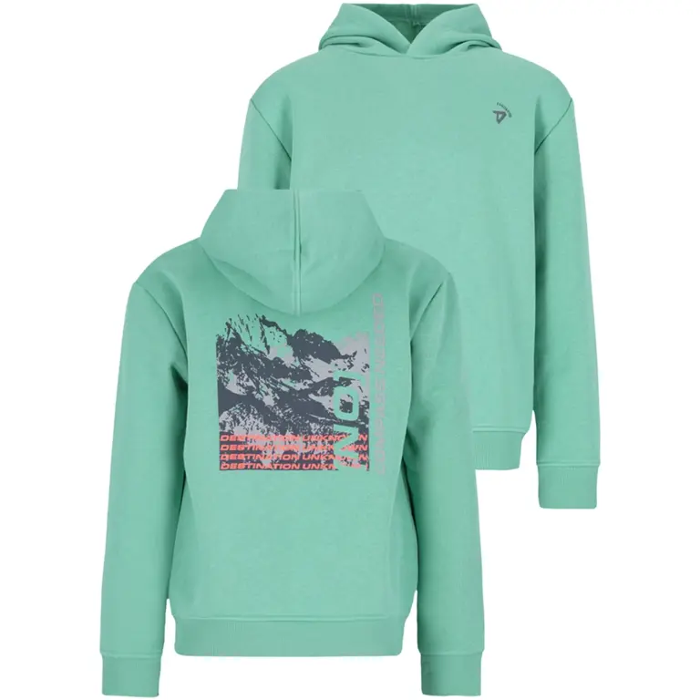 Trui hoodie Nigel (wasabi)