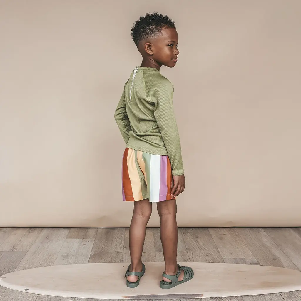 Zwembroek Multi Stripe (multicolor)