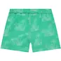 Stains&Stories Zwembroek (emerald)