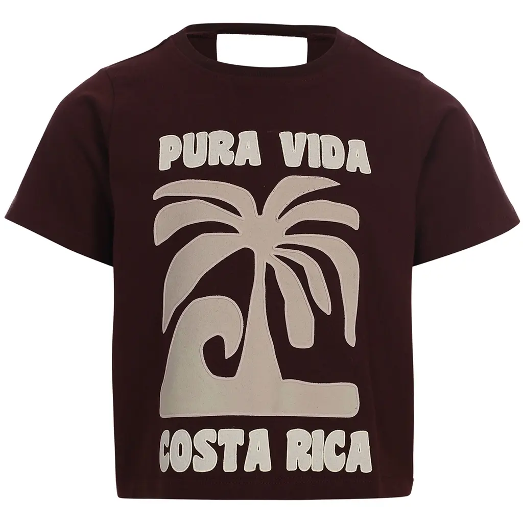 T-shirt (chocolate)