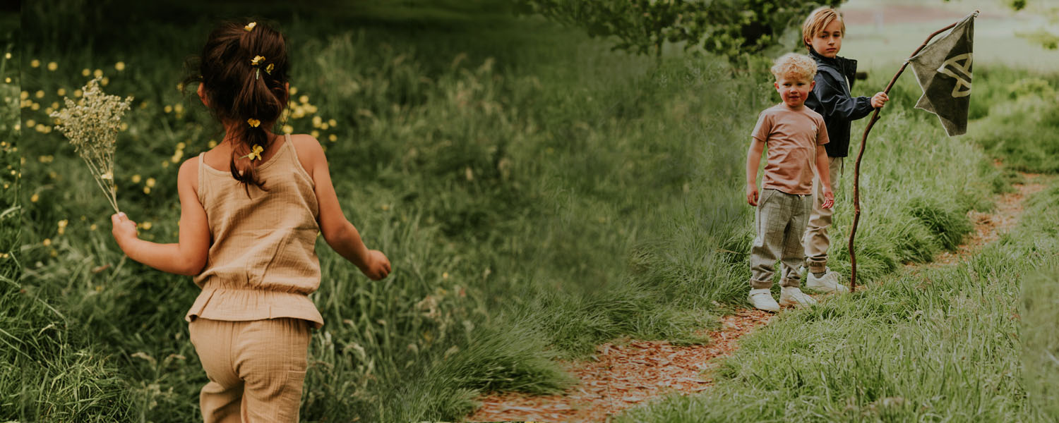 Collectie afbeelding