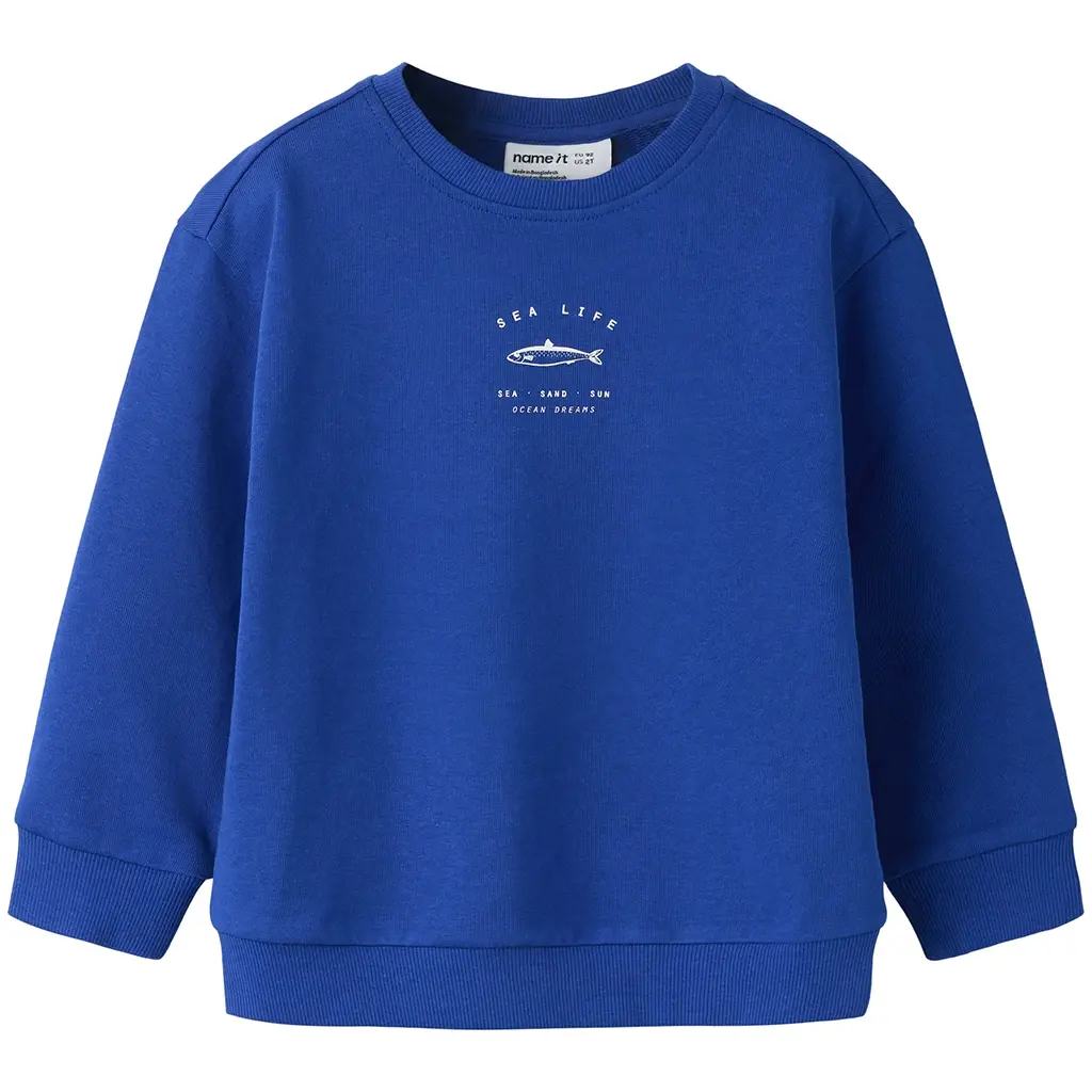 Trui sweat Haddian (surf the web)