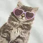 Name It T-shirt Votia (bright white sunglasses cat)