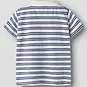 Name It Polo shirtje Jarl (cloud dancer striped)