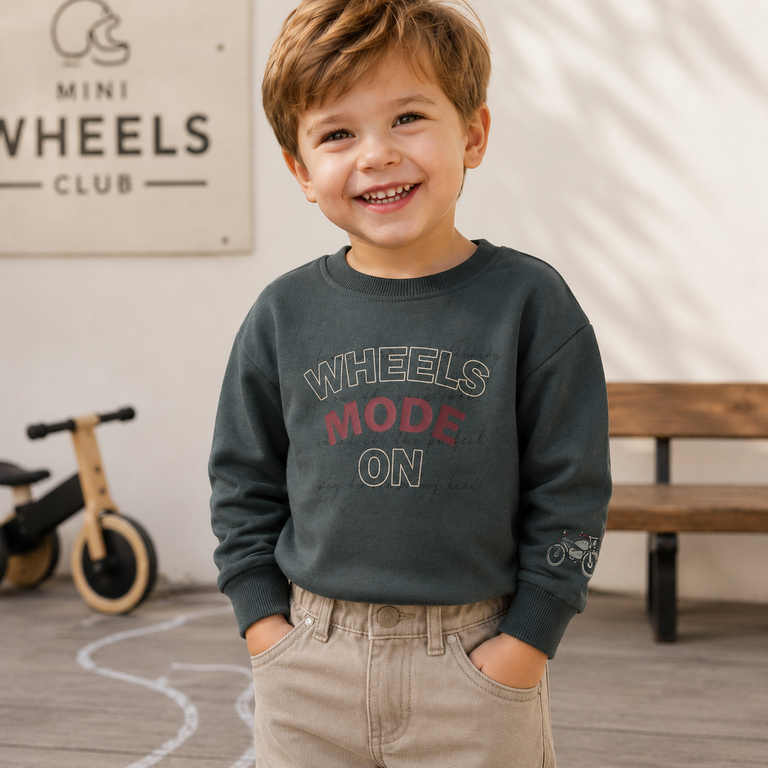 Trui sweat Brett (urban chic)