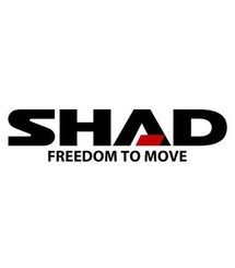 Shad